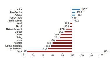 TÜİK: Bitkisel ürünlerde en yüksek yeterlilik derecesi %560,9 ile fındıkta gerçekleşti