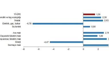 TÜİK: Yurt İçi Üretici Fiyat Endeksi (Yİ-ÜFE) yıllık %76,61, aylık %1,56 arttı