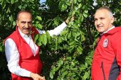 2023'ün ilk kirazı hasat edildi: Kirazda rekorlar kırdığımız bir yıl olacak