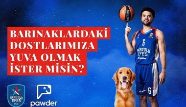 Anadolu Efes, Pawder İş Birliğiyle Depremzede Köpeklerin Ve Barınak Hayvanlarının Sahiplendirilmesine Destek Olacak