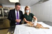 Bayraklı'daki can dostlara özel klinik!
