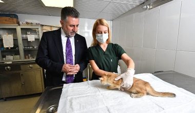 Bayraklı'daki can dostlara özel klinik!