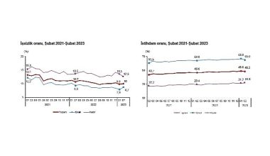 TÜİK: İşgücü İstatistikleri, Şubat 2023
