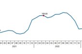 TÜİK: Yurt Dışı Üretici Fiyat Endeksi (YD-ÜFE) yıllık %40,35, aylık %1,65 arttı