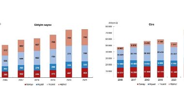 TÜİK: Yurt Dışında Kontrol Edilen Girişim İstatistikleri, 2021