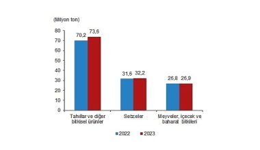 Bitkisel üretimin bir önceki yıla göre artacağı tahmin edildi Bitkisel üretimin bir önceki yıla göre artacağı tahmin edildi