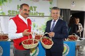 Dünya'nın kirazı Kemalpaşa'dan gidecek