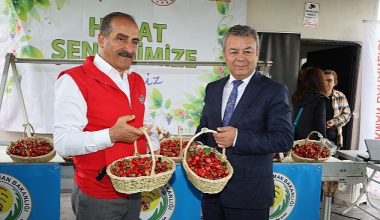 Dünya'nın kirazı Kemalpaşa'dan gidecek