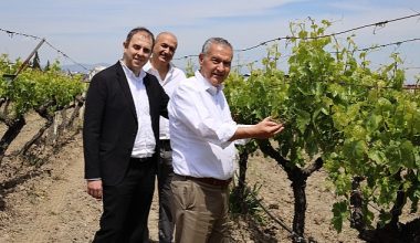 “NEİN (Hayır) demeyi öğrendiğimiz gün kuru üzümümüz para edecek"
