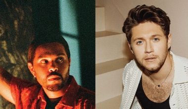 The Weeknd ve Niall Horan'dan Yepyeni Çıkışlar