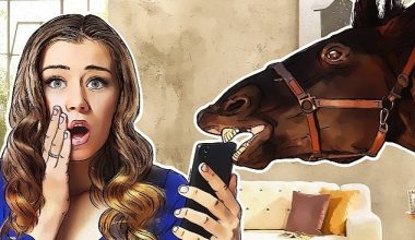 Truva atı Fleckpe, akıllı telefonları hedef aldı
