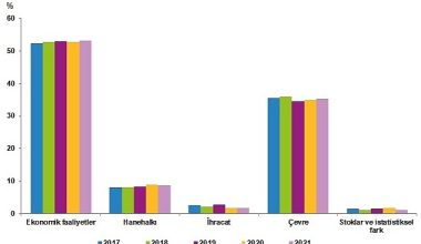 TÜİK: Enerji Hesapları, 2021