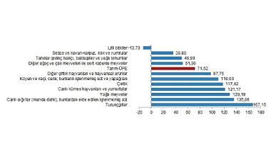 TÜİK: Tarım ürünleri üretici fiyat endeksi (Tarım-ÜFE) yıllık %71,52 arttı, aylık %2,32 azaldı