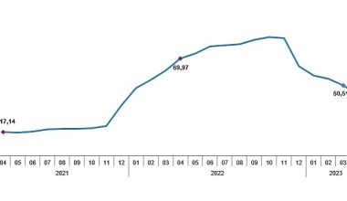 TÜİK: Tüketici fiyat endeksi (TÜFE) yıllık %43,68, aylık %2,39 oldu