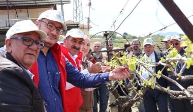 Türk üzümü dünya sofralarına kalıntısız ulaşıyor