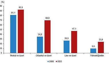 Ulusal Eğitim İstatistikleri, 2022