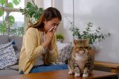 Akıllı mamalar, kedi alerjilerini ortadan kaldırabilir