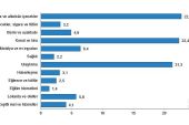 Hanehalkı bütçesinden en fazla pay gıda ve alkolsüz içecek harcamasına ayrıldı