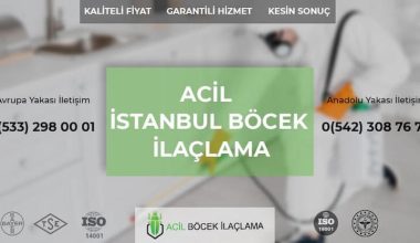 Böcek İlaçlama Nedir?