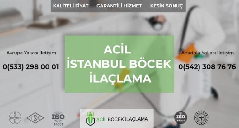 Böcek İlaçlama Nedir?