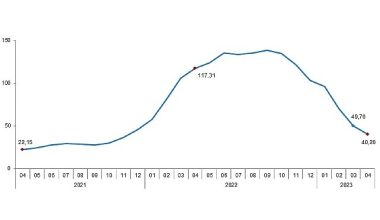 Tarımsal girdi fiyat endeksi (Tarım-GFE) yıllık %40,20, aylık %0,63 arttı