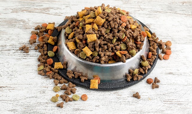 Can dostların mamaları Türkiye'de üretiliyor Türkiye, kedi-köpek maması ihracatında 100 milyon dolar hedef koydu