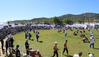 Edremit'te 500 pehlivan kol bağlayacak