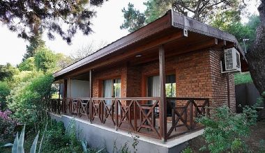 İBB, Orman Bakanlığı'ndan satın aldı