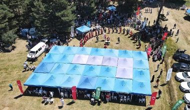 İznik Maviyemiş Festivali'ne yoğun ilgi