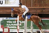Minik binicilerin kalbi “Sporun Başkenti Kocaeli”de attı