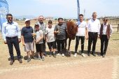 Rahvan atlar değirmendere'de şampiyonluğa koştu    