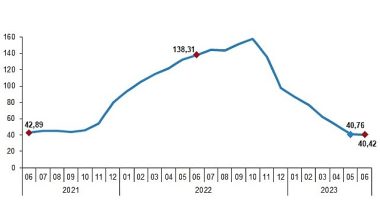 Yurt İçi Üretici Fiyat Endeksi (Yİ-ÜFE) yıllık %40,42, aylık %6,50 arttı
