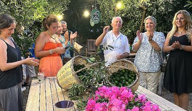 Pernod Ricard ve Bodrum Mandalin Hareketin'den Yeşil Bodrum Mandalini için İş Birliği