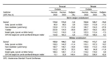 TÜİK: İhracat birim değer endeksi %1,6 azaldı