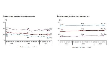TÜİK: Mevsim etkisinden arındırılmış işsizlik oranı %9,6 seviyesinde gerçekleşti