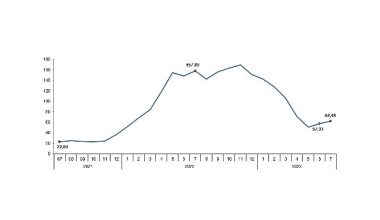 TÜİK: Tarım ürünleri üretici fiyat endeksi (Tarım-ÜFE) yıllık %62,48, aylık %8,03 arttı