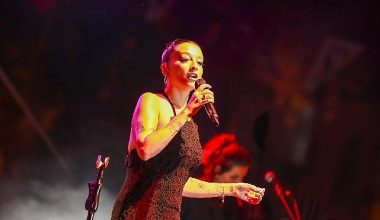30. Uluslararası Gemlik Zeytini Festivalinin finalini Melike Şahin yaptı