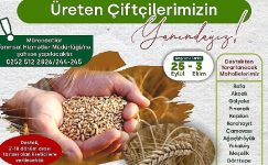 %50 Hibeli Buğday ve Tritikale Tohumu desteği başlıyor