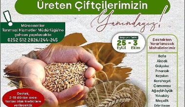 %50 Hibeli Buğday ve Tritikale Tohumu desteği başlıyor