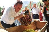Antalya Gastronomi Festivali'nin İkinci Gününde Mor Üzüm Hasadı