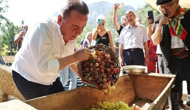 Antalya Gastronomi Festivali'nin İkinci Gününde Mor Üzüm Hasadı
