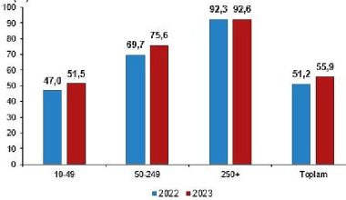İnternet erişimine sahip girişimlerin oranı yüzde 96,0 oldu