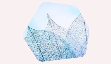 Kaspersky, Orta Doğu bölgesindeki ilk Şeffaflık Merkezinin açılışını gerçekleştiriyor