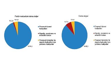 Mali aracı kuruluşlar sektöründe 2022 yılında 19 139 girişim faaliyette bulundu