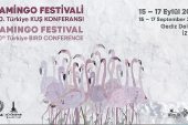 Türkiye'nin ilk Flamingo Festivali İzmir'de Gerçekleşiyor.