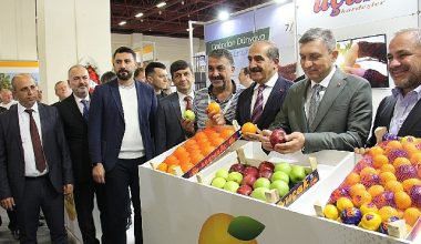 Yaş Meyve Sebze Sektörü 302,2 Milyar Dolarlık OVP İhracat Hedefine 4 Milyar Dolar Katkı Hedefliyor