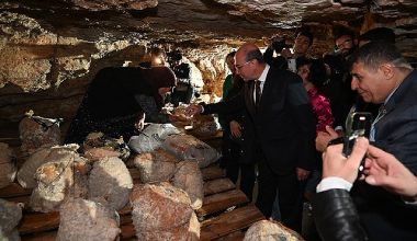 Peynir Tulumundan İlk Hasat Programı Gerçekleştirildi