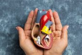 3-9 kasım organ bağışı ve nakli haftası