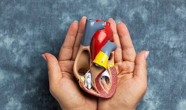 3-9 kasım organ bağışı ve nakli haftası