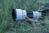 Sony Dünyanın En Hafif Geniş Diyaframlı Telefoto Prime Lensi G Master FE 300mm F2.8 GM OSS'yi Tanıttı